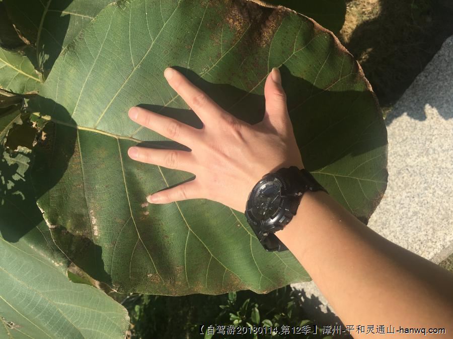 【自驾游20180331.第13季】漳州-天宝古寨农场